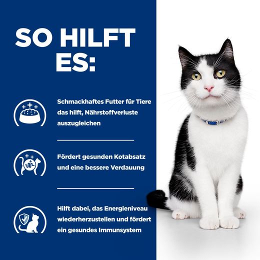 Hills i/d Trockenfutter mit ActivBiome+ für Katzen