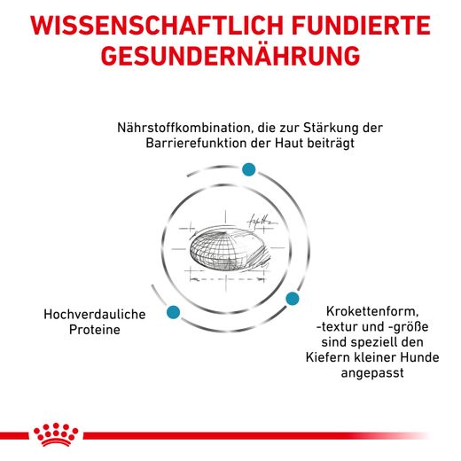 Royal Canin Skin Care Small Dogs Trockenfutter