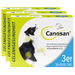 Canosan Hund mit Gonex von Boehringer Ingelheim