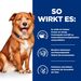 Hills Derm Complete Hundefutter in kleinen Dosen