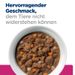Hills Prescription Diet Canine Gastrointestinal Biome Ragout in Dosen für Hunde