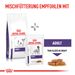 Royal Canin Adult Small Dogs Trockenfutter für Hunde