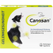 Canosan Hund mit Gonex von Boehringer Ingelheim