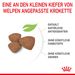 Royal Canin Mini Puppy Trockenfutter für Welpen kleiner Hunderassen