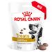 Royal Canin Veterinary Urinary S/O Snacks Royal Canin Veterinary Urinary S/O Snacks