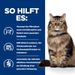 Hills Prescription Diet Feline Gastrointestinal Biome Ragout in Dosen für Katzen