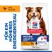 Hills Science Plan Canine Mature Adult 7+ Medium Hund Trockenfutter