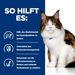 Hills Feline w/d Multi-Benefit Huhn Frischebeutel für Katzen