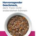 Hills Prescription Diet Feline Gastrointestinal Biome Ragout in Dosen für Katzen