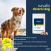 Navalis Doloral Dog