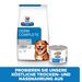 Hills Derm Complete Hundefutter in kleinen Dosen