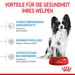 Royal Canin X-Small Puppy Trockenfutter für Hunde