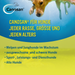 Canosan Hund mit Gonex von Boehringer Ingelheim