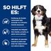 Hills Canine Metabolic + Mobility Trockenfutter für Hunde
