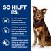 Hills Canine Metabolic mit Rind Dosenfutter für Hunde