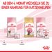 Royal Canin Mother & Babycat Ultra Soft Mousse Dosen für Katzen