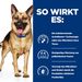Hills Prescription Diet Canine Gastrointestinal Biome Trockenfutter für Hunde