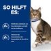 Hills s/d Katze Urinary Care Trockenfutter für Katzen