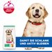 Hills Science Plan Canine Hund Puppy Large Breed Huhn Trockenfutter