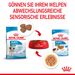 Royal Canin Mini Puppy Frischebeutel in Soße