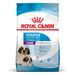 Royal Canin Giant Starter Trockenfutter