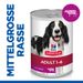 Hills Science Plan Canine Adult Rind Dosenfutter für Hunde