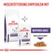 Royal Canin Neutered Adult Small Dogs Trockenfutter für Hunde