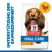 Hills Science Plan Canine Adult Oral Care Huhn Trockenfutter