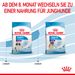 Royal Canin Gigant Puppy Trockenfutter für Welpen sehr großer Rassen Royal Canin Gigant Puppy Trockenfutter für Welpen sehr großer Rassen