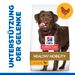 Hills Science Plan Canine Adult Healthy Mobility Large Breed Huhn Trockenfutter