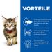 Hills Science Plan Kitten Huhn Frischebeutel Hills Science Plan Kitten Huhn Frischebeutel