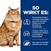 Hills k/d + Mobility Trockenfutter für Katzen