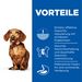 Hills Science Plan Perfect Weight Small & Mini Adult Trockenfutter mit Huhn für Hunde