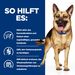 Hills Prescription Diet Canine Gastrointestinal Biome Trockenfutter für Hunde