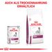 Royal Canin Renal Mousse Dosenfutter für Hunde Royal Canin Renal Mousse Dosenfutter für Hunde