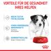 Royal Canin Mini Puppy Frischebeutel in Soße