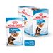 Royal Canin Maxi Puppy Frischebeutel in Soße