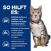 Hills Prescription Diet Feline c/d Multicare Urinary Stress + Metabolic Trockenfutter für Katzen