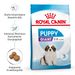 Royal Canin Gigant Puppy Trockenfutter für Welpen sehr großer Rassen Royal Canin Gigant Puppy Trockenfutter für Welpen sehr großer Rassen