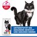 Hills Science Plan Feline Mature Adult 7+ Sterilised Cat Huhn Trockenfutter