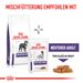 Royal Canin Neutered Adult Large Dogs Trockenfutter für Hunde