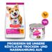 Hills Science Plan Small & Mini Adult Mousse für Hunde mit Rindfleisch Dosenfutter