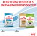 Royal Canin X-Small Puppy Trockenfutter für Hunde Royal Canin X-Small Puppy Trockenfutter für Hunde
