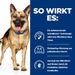 Hills Prescription Diet Canine Gastrointestinal Biome Ragout in Dosen für Hunde