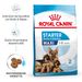 Royal Canin Maxi Starter Trockenfutter