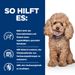 Hills Prescription Diet Canine Gastrointestinal Biome Mini Trockenfutter für Hunde