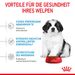 Royal Canin Gigant Puppy Trockenfutter für Welpen sehr großer Rassen Royal Canin Gigant Puppy Trockenfutter für Welpen sehr großer Rassen