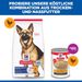 Hills Science Plan Canine Mature Adult 6+ Large Breed Hund Trockenfutter