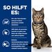 Hills Feline Metabolic Ragout Dosenfutter für Katzen