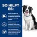 Hills Canine t/d Trockenfutter für Hunde